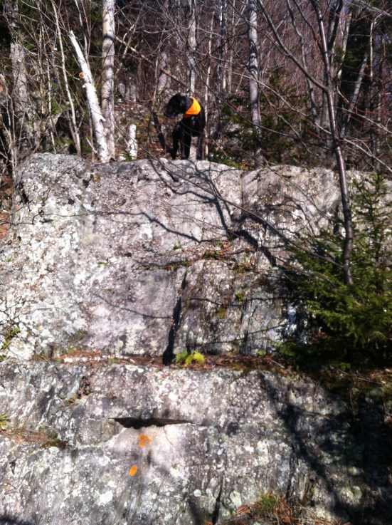 Rufus beat us to the top!