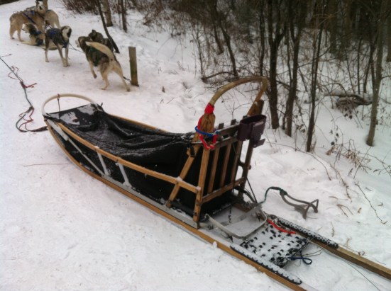 Their sleds were much larger and fancier than the one my grandmother had when I was growing up, but I have very fond memories of dog-sledding with her, and I was excited to be back in the saddle!