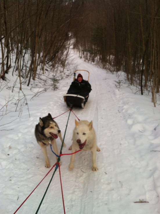 All bundled in.  The two-person sleds feature a comfy padded seat, a waterproof bag to keep snow of of you, and even a sleeping bag to sit in to stay warm.  Talk about riding in comfort!