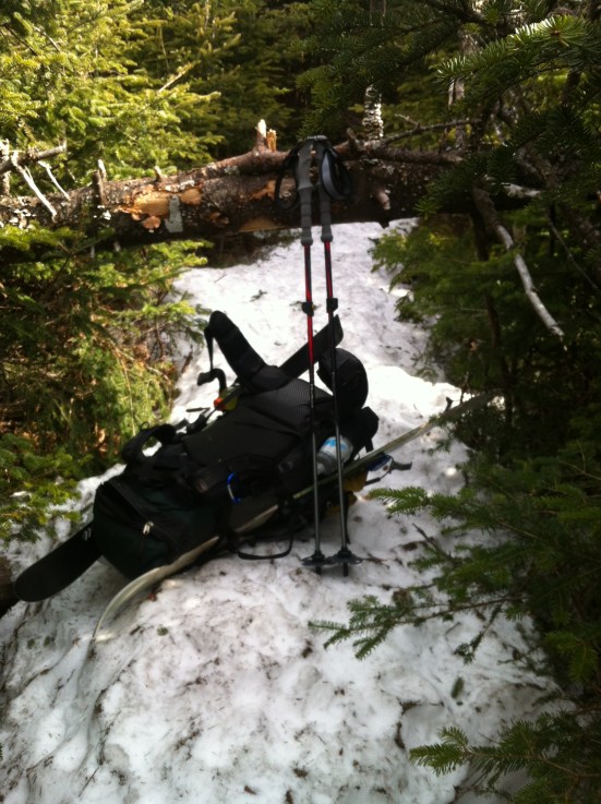 Fallen Trees over the trail prove more complicated with a large pack including long skis!